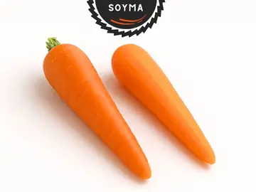 Sebze Soyma 2